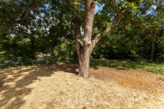 1203-Stevens-Avenue-34
